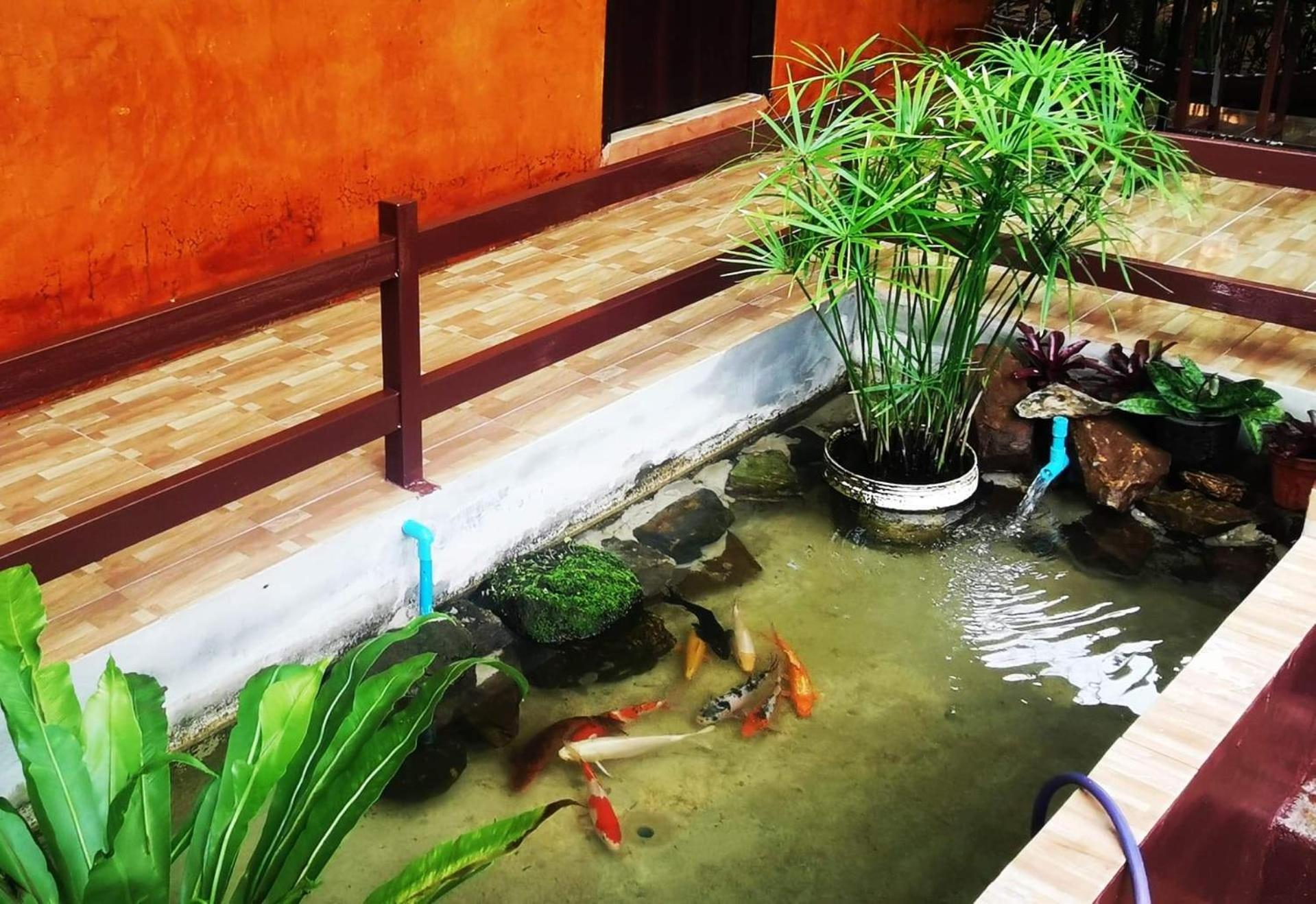 บ้านดินโฮมสเตย์ ปางอุ๋ง Ban Huai Makhuea Som Экстерьер фото