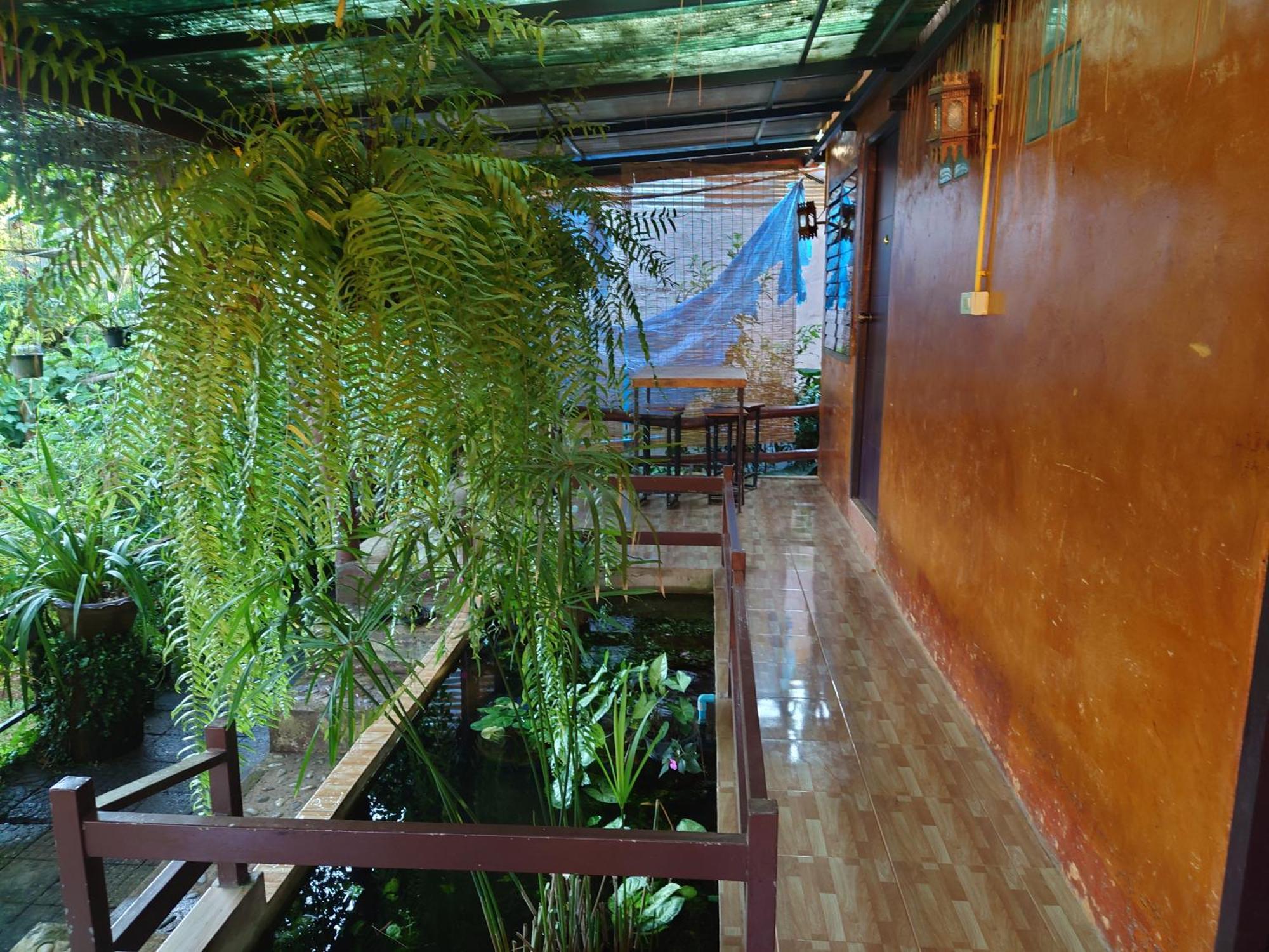 บ้านดินโฮมสเตย์ ปางอุ๋ง Ban Huai Makhuea Som Экстерьер фото